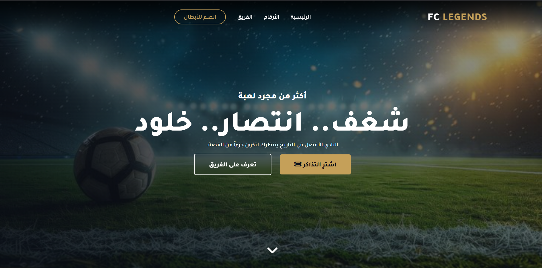 المشروع الثالث